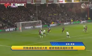 开云体育下载-英超足球利物浦